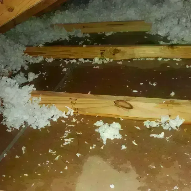 Attic Water Damage in Ferris, TX