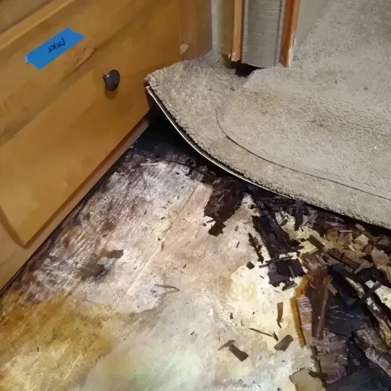 Best Wood Floor Water Damage Service in Ferris, TX